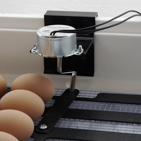 Hovabator egg incubator egg turner